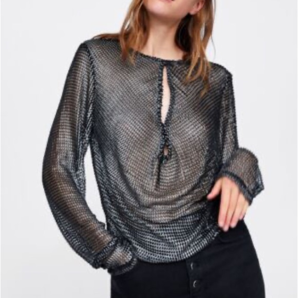 Zara Metallic Mesh Blouse